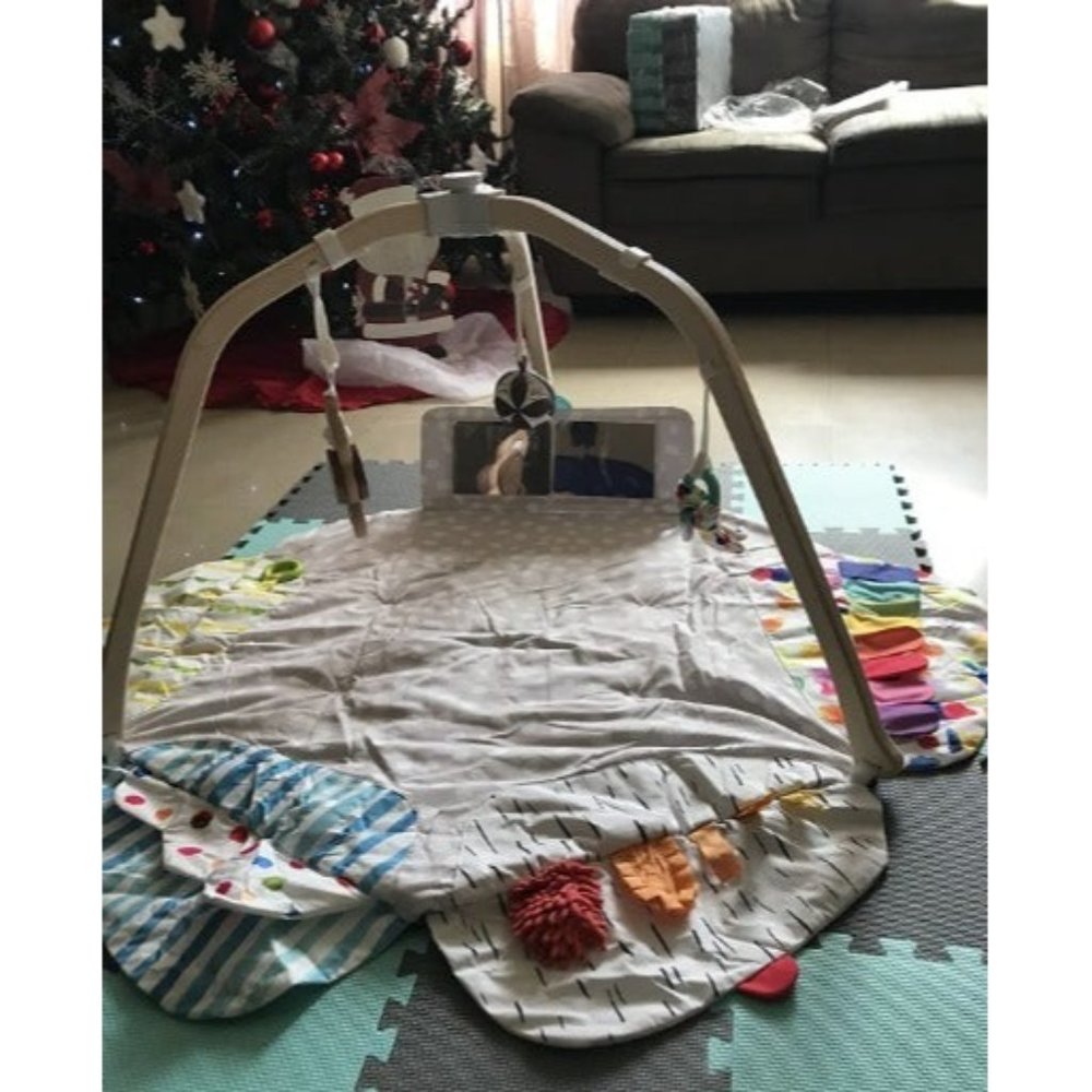 The Play Gym | Award Winning For Baby , Stage-Based Developmental Activity